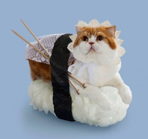 sushi-cats-4